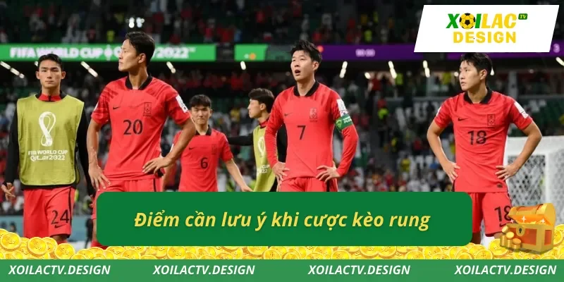 Điểm cần lưu ý khi cược kèo rung