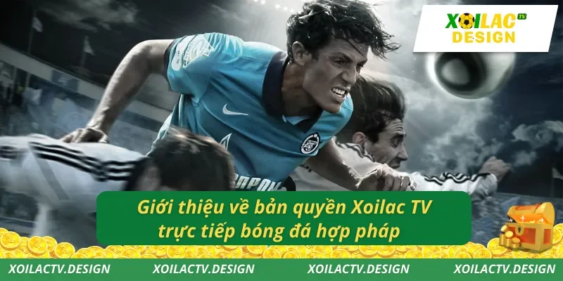 Giới thiệu về bản quyền Xoilac TV trực tiếp bóng đá hợp pháp