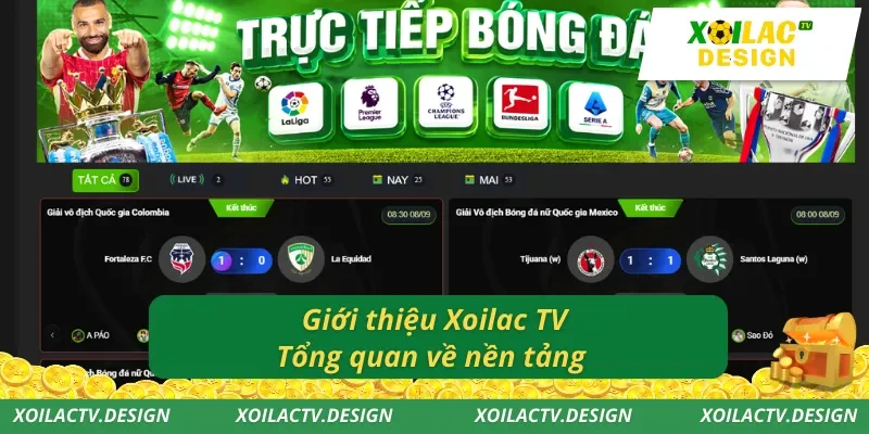 Giới thiệu Xoilac TV - tổng quan về nền tảng