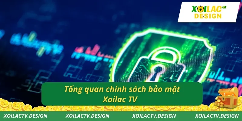 Tổng quan chính sách bảo mật Xoilac TV