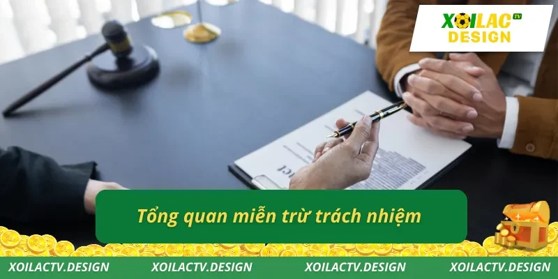 Tổng quan miễn trừ trách nhiệm