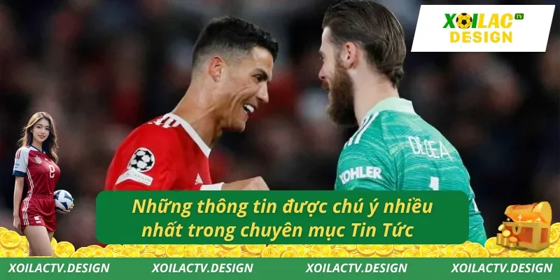 Những thông tin được chú ý nhiều nhất trong chuyên mục Tin Tức