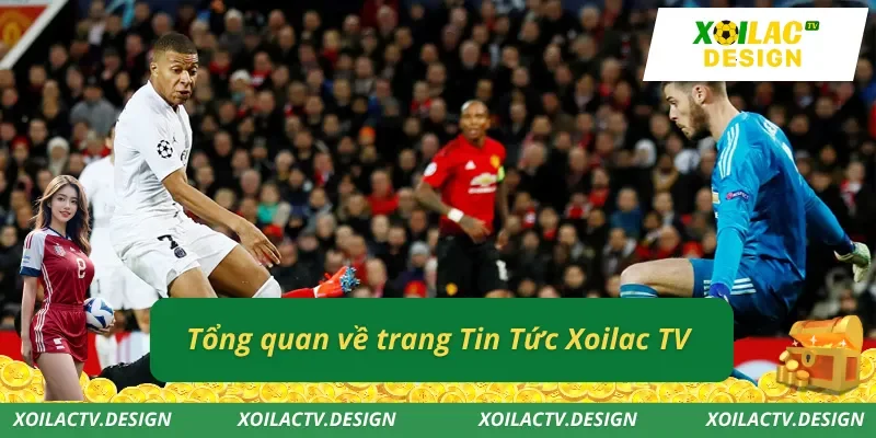 Tổng quan về trang Tin Tức Xoilac TV