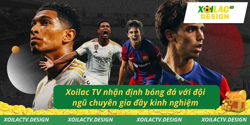 Xoilac TV nhận định bóng đá với đội ngũ chuyên gia đầy kinh nghiệm